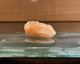 Dinner at Kyogoku Zushi (京極寿司)