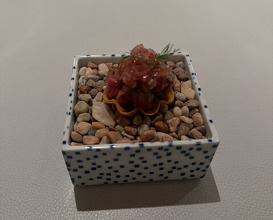 Dinner at Restaurant L’ÉTERRE