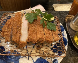 Dinner at Tonkatsu Mange (とんかつ マンジェ)