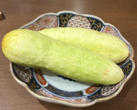 Dinner at Matsuishi (松石)
