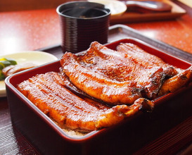 Dinner at Unagi no Matsu Ka (うなぎのまつ嘉)