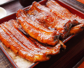 Dinner at Unagi no Matsu Ka (うなぎのまつ嘉)