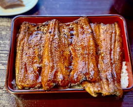Dinner at Unagi no Matsu Ka (うなぎのまつ嘉)