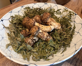Dinner at Matsukawa (松川)