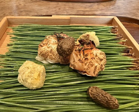 Dinner at Matsukawa (松川)