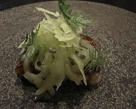 Dinner at middle (middle)