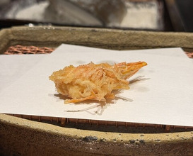 Dinner at Mikawa Zezankyo (みかわ 是山居)