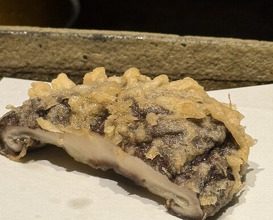 Dinner at Mikawa Zezankyo (みかわ 是山居)