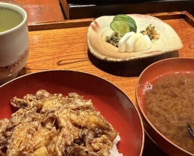 Dinner at Mikawa Zezankyo (みかわ 是山居)