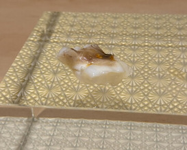 Dinner at Mitani (三谷)