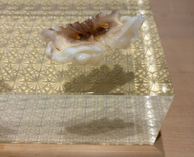 Dinner at Mitani (三谷)
