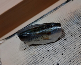 Dinner at Sushi Miyakawa (すし宮川)
