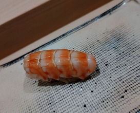 Dinner at Sushi Miyakawa (すし宮川)