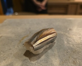 Dinner at Sushi Dokoro Mutsuki (すし処 睦月)