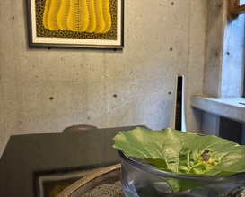Dinner at Myoken Ishihara So Shokusai Ishikura (妙見石原荘 食菜石蔵)
