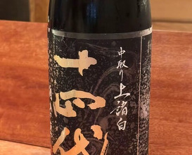 Dinner at NK (New Wonderful Companions feat. Kakuland)