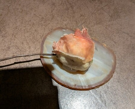 Dinner at nôtori (nôtori)