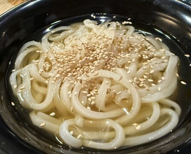 Dinner at Shokudo Ogawa (食堂 おがわ)