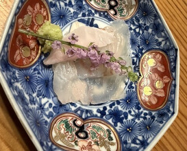 Dinner at Otome Zushi (乙女寿司)