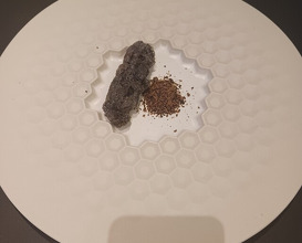 Dinner at PRESENTE Sugi (プレゼンテ スギ)