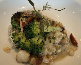 Dinner at recte