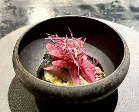 Dinner at restaurant takatsu (レストラン 高津)