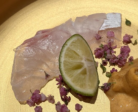Dinner at Sushi Sakai