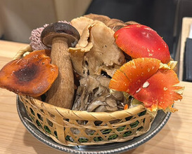 Dinner at Sakuragi (櫻木)