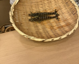 Dinner at Sangencha (山玄茶)