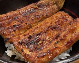 Dinner at Seirin (勢麟)