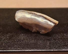 Dinner at Susukino Sushi Kin (すゝき野 鮨金)