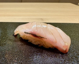 Dinner at Susukino Sushi Kin (すゝき野 鮨金)
