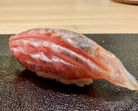 Dinner at Susukino Sushi Kin (すゝき野 鮨金)
