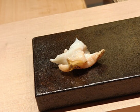 Dinner at Susukino Sushi Kin (すゝき野 鮨金)