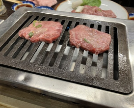Dinner at Stamina En (スタミナ苑)