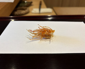 Dinner at Tempura Takeuchi (天ぷら たけうち)