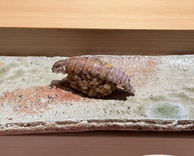 Dinner at Takumi Shingo (匠 進吾)