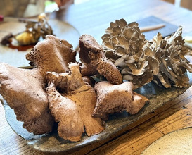 Dinner at Terroir Ai to Ibukuro (Terroir愛と胃袋)
