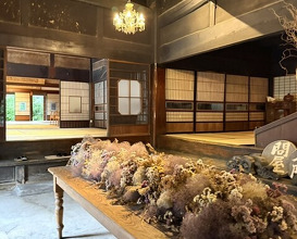 Dinner at Terroir Ai to Ibukuro (Terroir愛と胃袋)