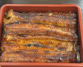 Dinner at Unagi Tei Tomoei (うなぎ亭 友栄)