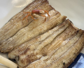 Dinner at Unagi Tei Tomoei (うなぎ亭 友栄)