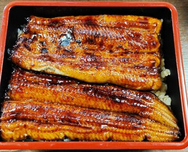 Dinner at Unagi Tei Tomoei (うなぎ亭 友栄)