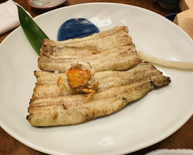 Dinner at Unagi Tei Tomoei (うなぎ亭 友栄)