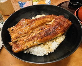 Dinner at Unagi Tei Tomoei (うなぎ亭 友栄)