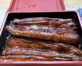 Dinner at Unagi Tei Tomoei (うなぎ亭 友栄)