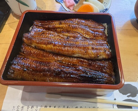 Dinner at Unagi Tei Tomoei (うなぎ亭 友栄)