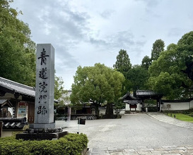 Dinner at Shorenin Monzeki Mae Tsukioka (青蓮院門跡前 月おか)