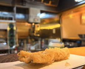 Dinner at Tsuru Hachi (鶴八)