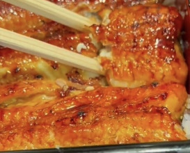 Dinner at Unagi Uomasa (うなぎ 魚政)