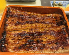 Dinner at Unagi Uomasa (うなぎ 魚政)